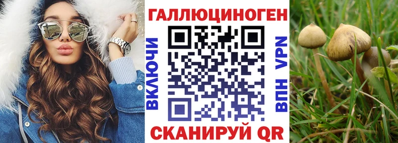 Галлюциногенные грибы мицелий купить наркотики сайты Боровск